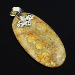 Coral Fossil Pendant